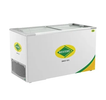 Commercial Deep Freezer